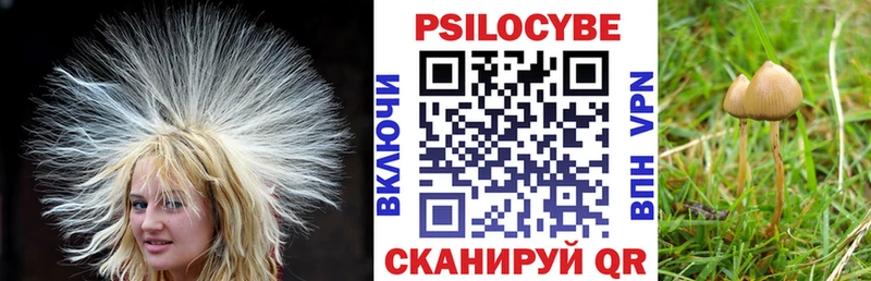 Псилоцибиновые грибы Psilocybine cubensis  Ртищево 